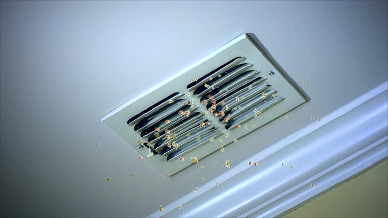 Best Dryer Vent Cleaning Services  in Thorsby, AL