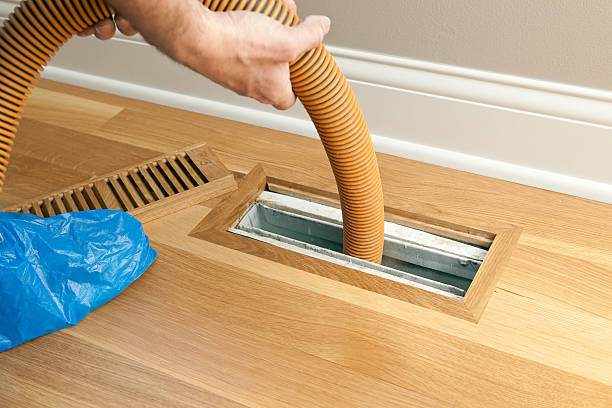Best Professional Duct Cleaning Services  in Thorsby, AL